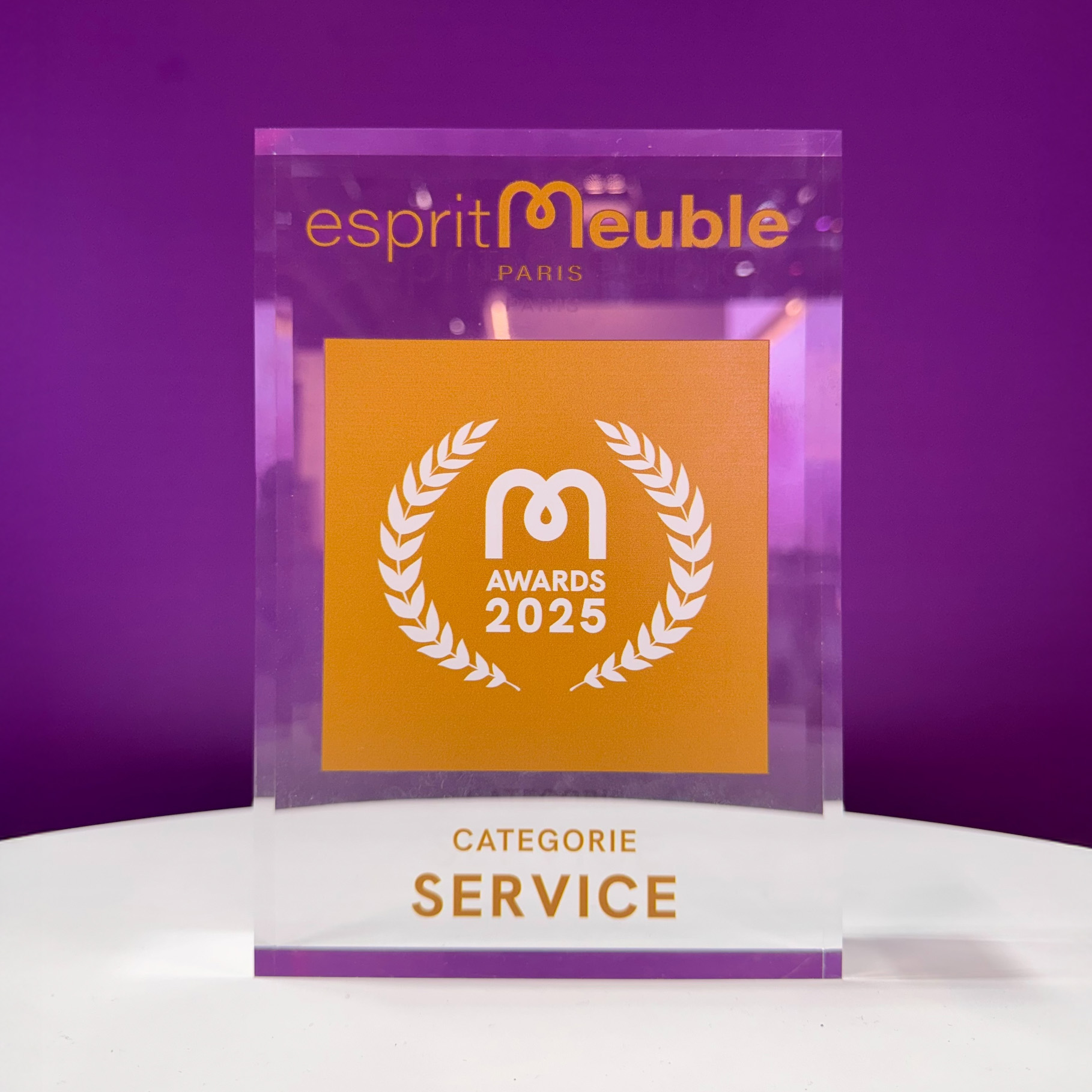 Esprit Meuble Service Award